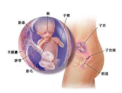 广州代孕中介,做伍德灯能检查出来黑色素的缺失