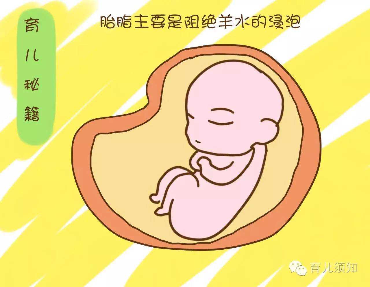 广州最大助孕公司,婆婆总是嫌弃我，小姑子怀孕