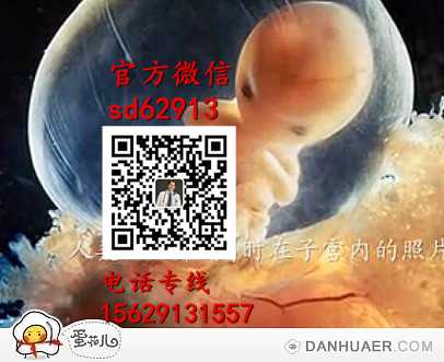 广州代生宝宝官网-孕妇奶粉几个月停最好