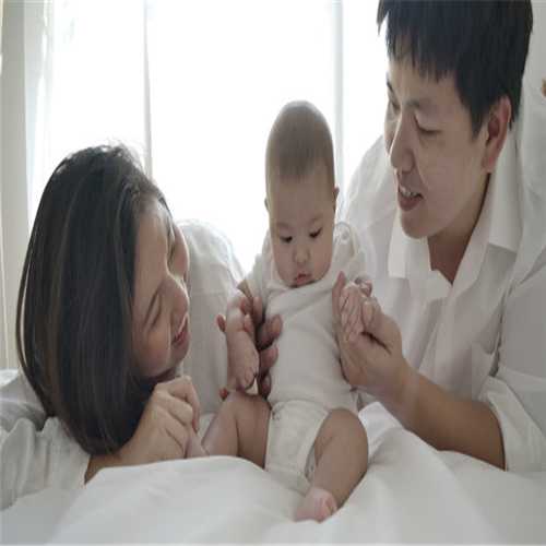 广州找代孕女需多少钱_哺乳期能吃人参吗