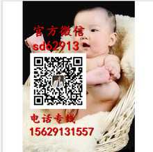 广州代孕靠谱吗_上海世纪代怀孕_找代孕的人多吗